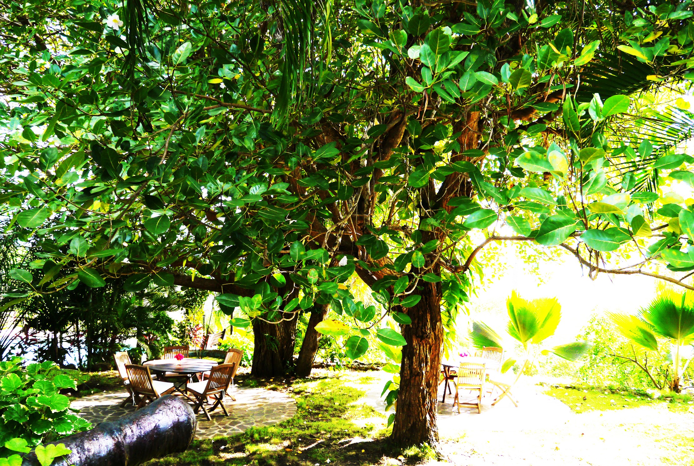 Bequia Summer 02