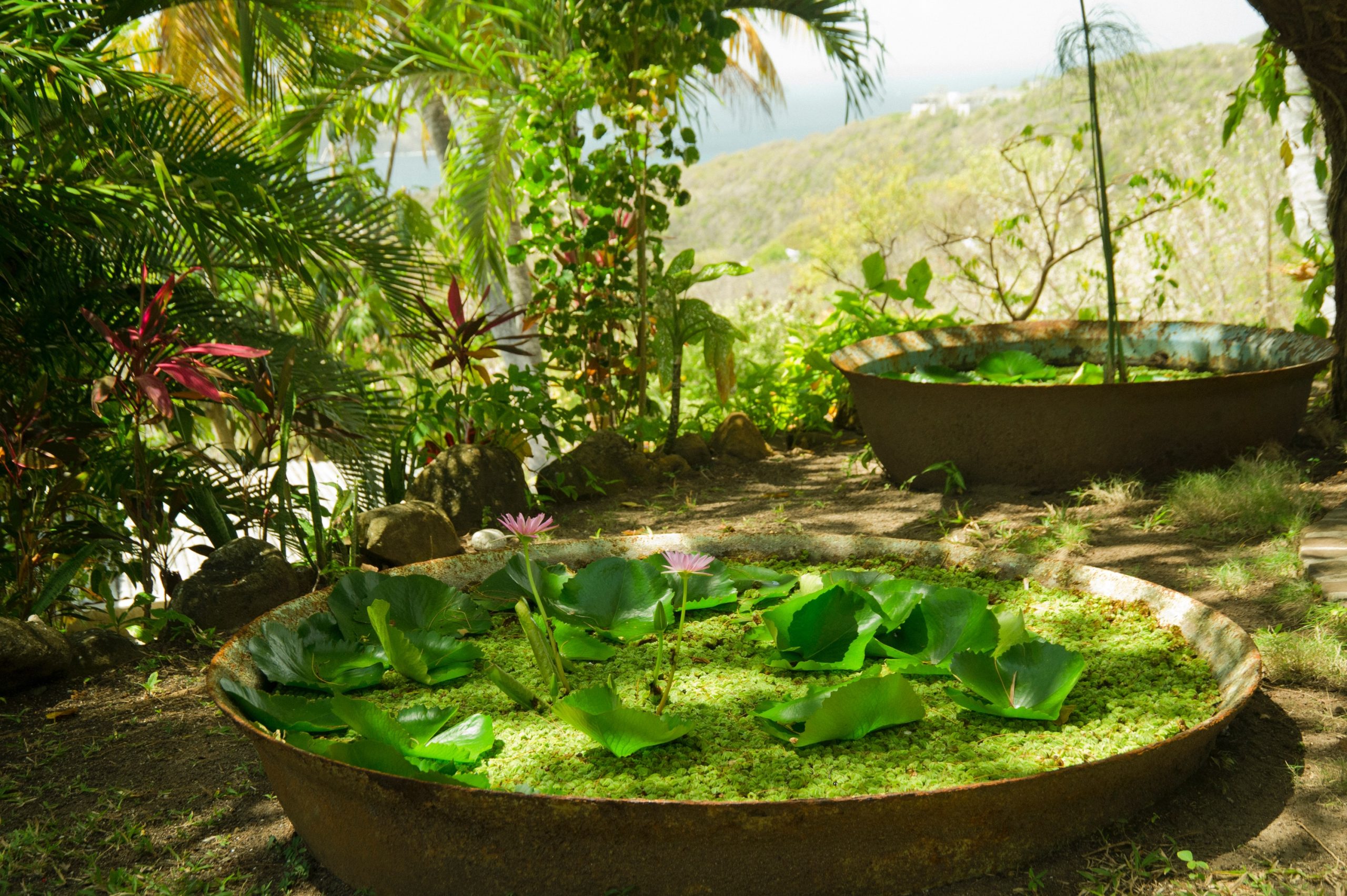 Bequia Summer 03