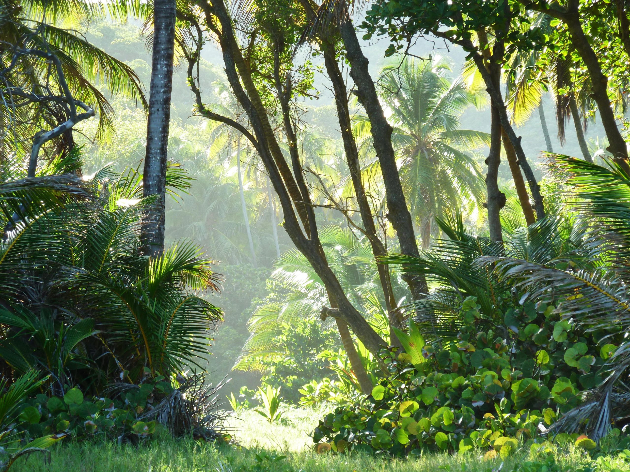 Bequia Summer 05